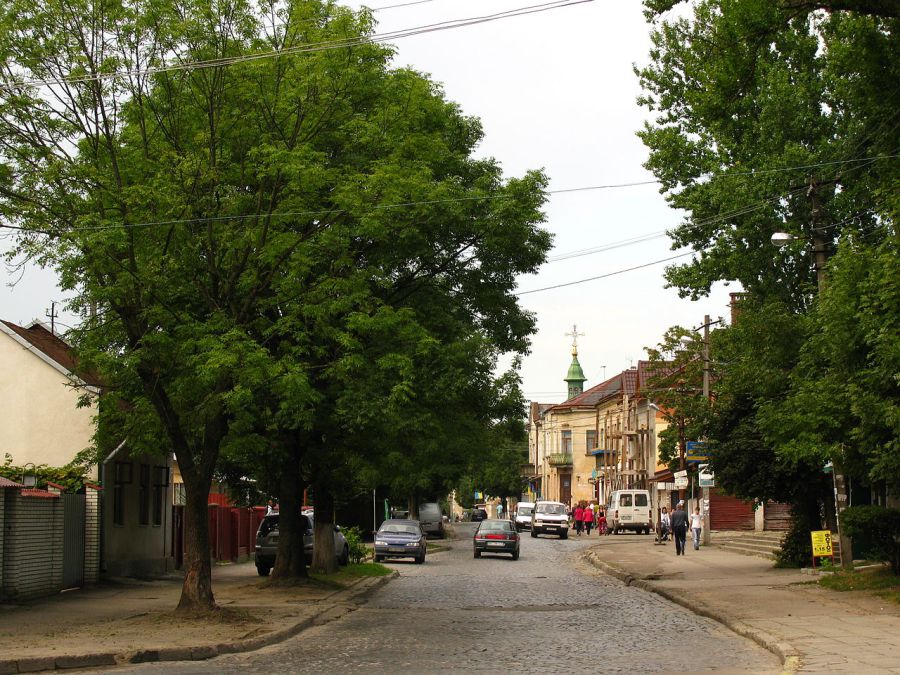 Вулиця Повітряна на Левандівці – одна із найдавніших вулиць сучасної Левандівки