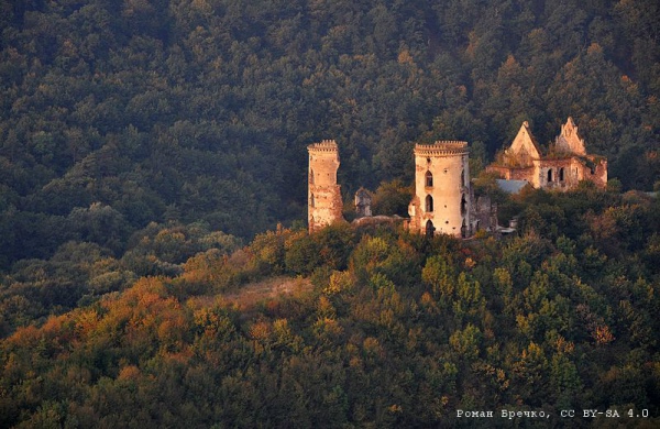 Червоногородський замок, село Нирків (Тернопільська область). Автор фото — Роман Бречко
