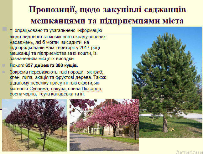 У Львові висадять рекордну кількість дерев. Перелік вулиць та видів
