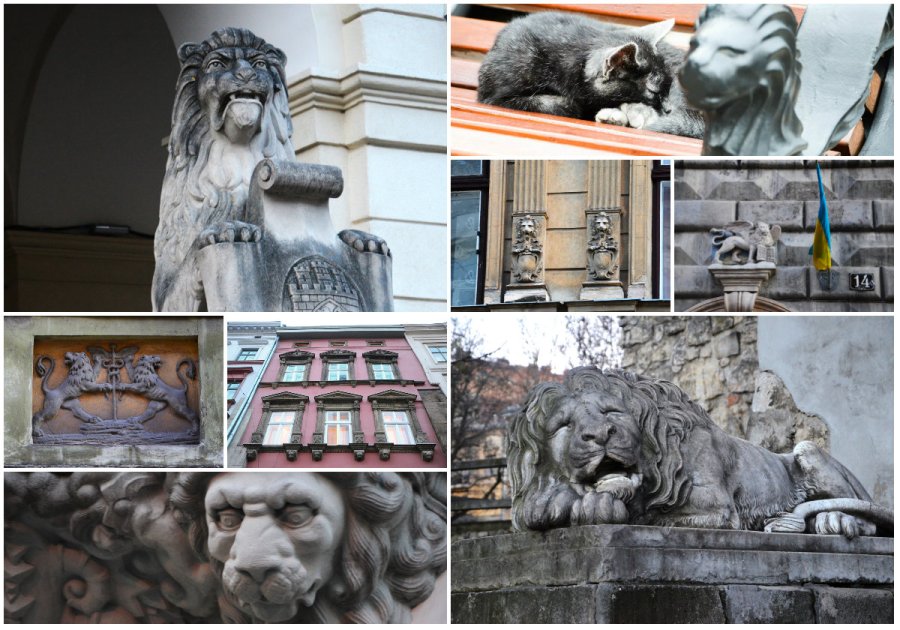 Десять таємничих левів Львова