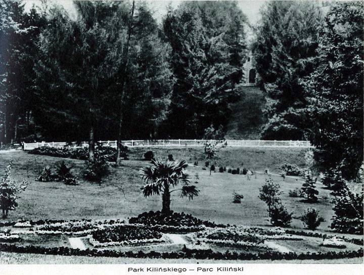 Пальми у сучасному Стрийському парку (колись парк Кілінського)