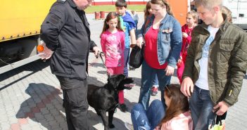 екскурсія для школярів від ДФС знайомство із собаками