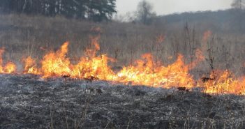 На Львівщині продовжують палити суху траву