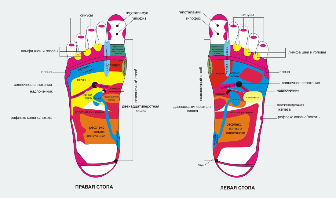 Почему карта в стопе. Зоны стопы. Рефлексология стопы. Анатомические зоны стопы. Стопа название зон.