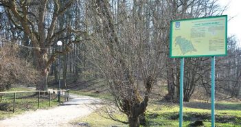 Парк Залізна Вода – улюблене місце Рерінга, котрий він впорядковував найдовше, і котрий зараз в запущеному стані.