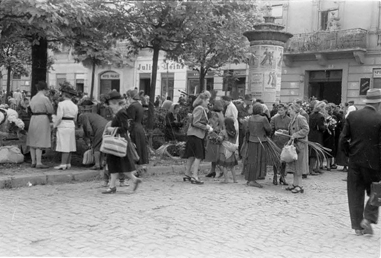 Львів, липень 1943 р.