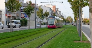 Трамвайні колії у місті пропонують засіяти травою.