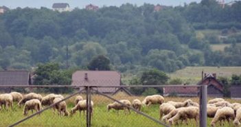 Господарство відкрите для туристів.