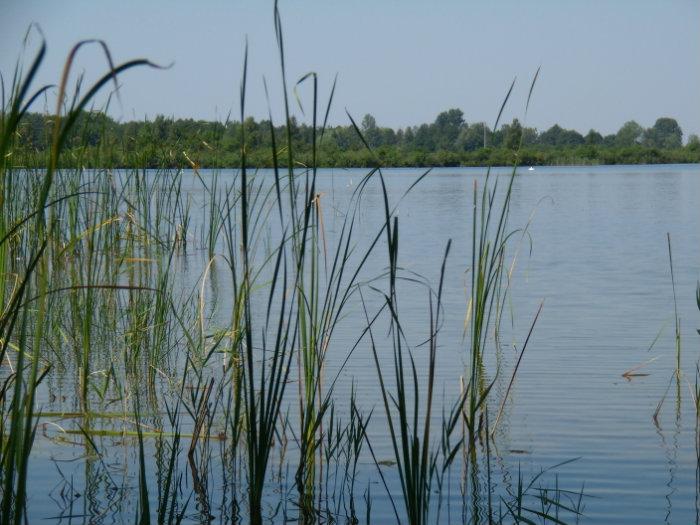 Краєвиди озера Пулемецьке