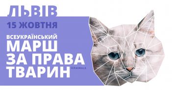 Львів’ян кличуть на всеукраїнський Марш за права тварин