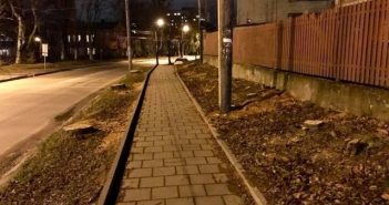 Задля велодоріжки на вул. Зеленій у Львові зрізали півсотні дерев