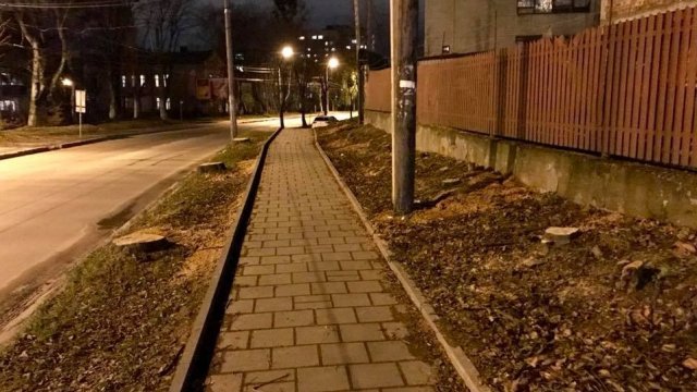 Задля велодоріжки на вул. Зеленій у Львові зрізали півсотні дерев