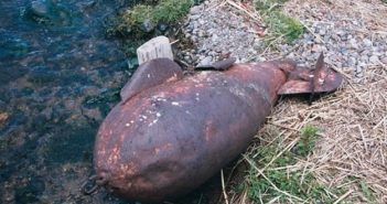 авіаційна бомба