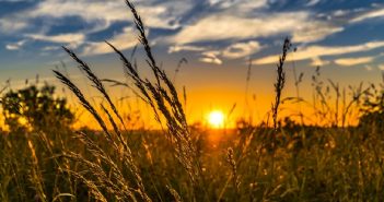 Календар свят та пам’ятних подій в Україні на 2018 рік