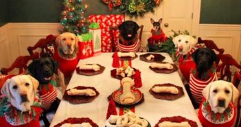 Чого не можна робити у Новорічну ніч – прикмети від наших предків