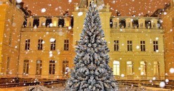 Наступного тижня у Палаці Потоцьких відкриють Зимову резиденцію