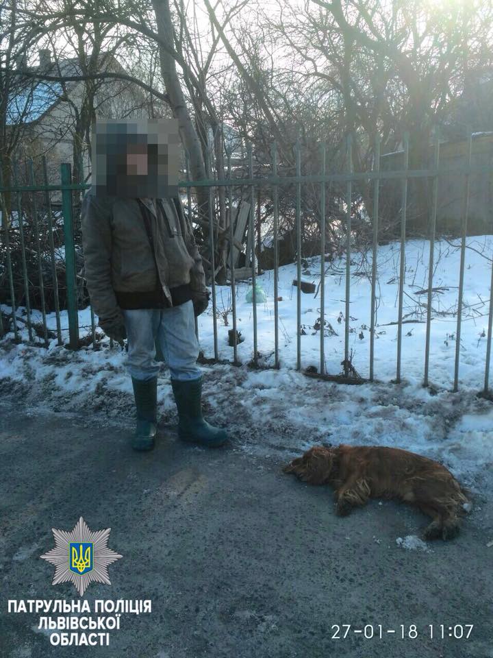 У Львові патрульні затримали чоловіка, який задушив собаку