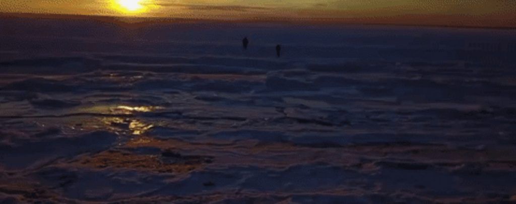Біля берегів США замерз океан