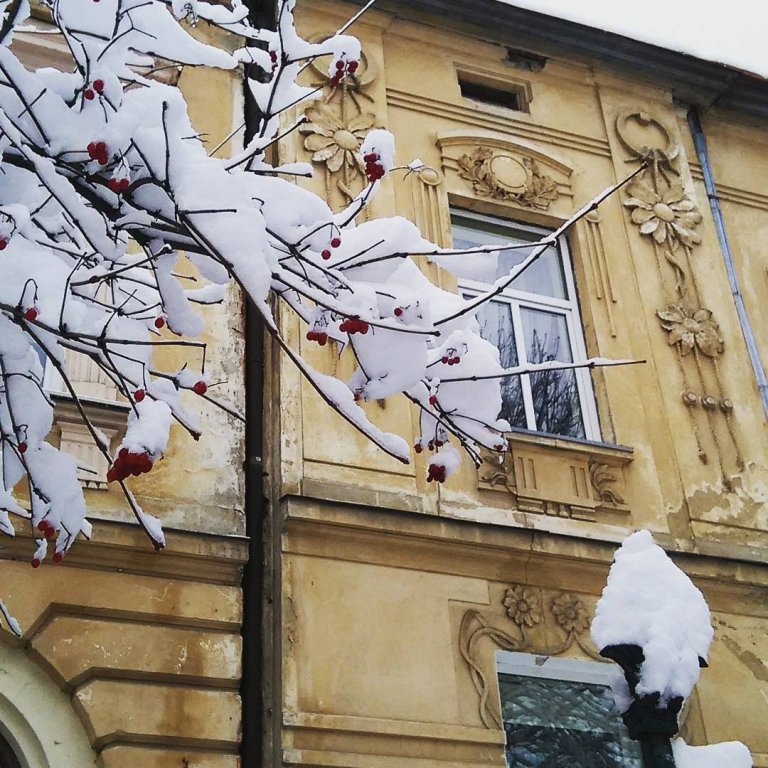 Як Львів засипало снігом