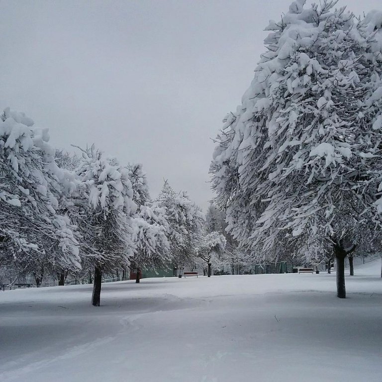 Як Львів засипало снігом