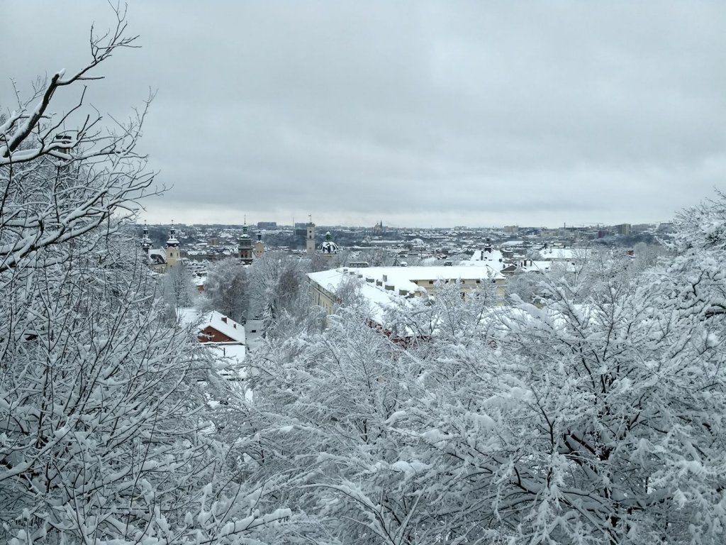 Як Львів засипало снігом: 
