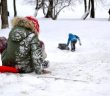 діти санки сніг сани санчата зима