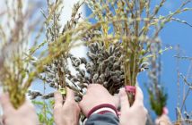 Вербна неділя 2018: історія і традиції світлого свята