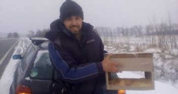 Як волонтер зі Львова рятує від холодної та голодної смерті лелек, які вже повернулися на Україну. Фото