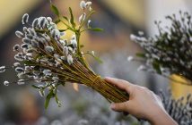 вербна неділя освячення верби