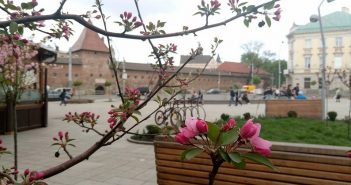На площі Митній висадили квіти (Фото)