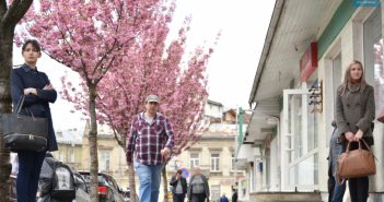 Площа Петрушевича