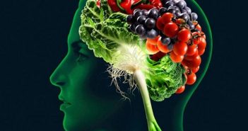 Які продукти корисні для нашого мозку, а які йому шкодять? Пояснює наука