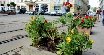 В центрі Львова іноземці понищили клумби