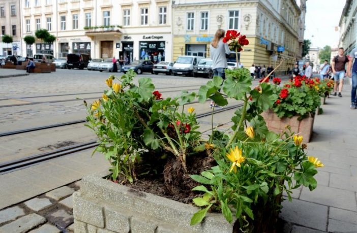 В центрі Львова іноземці понищили клумби