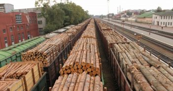 вирубка лісу вирубка лісів експорт лісу