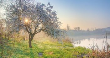 Весняний світанок на Тетереві. Радонові джерела Житомира (фото: Horker)
