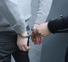 На площі перед Залізничною районною адміністрацією викрали кущі лавровишні