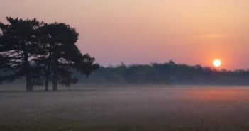 Асканія-Нова (фото: av-photo)