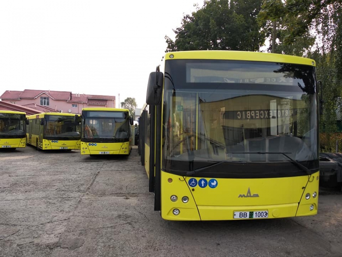 автобус МАЗ білорусь білоруський автобуси