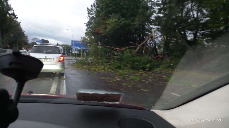 у Львові шквальний вітер ламає зупинки та дерева