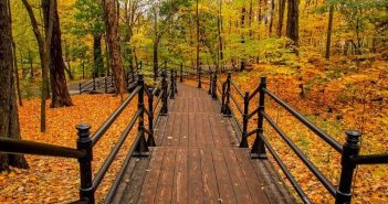 осінь парк 10 парків України для прогулянок восени
