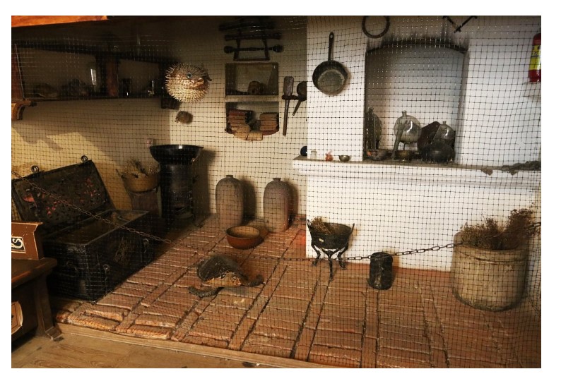 Так виглядала лабораторія алхіміка, прикрашена опудалами різних тварин