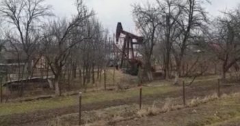 мешканці Львівщини на власних городах качають нафту