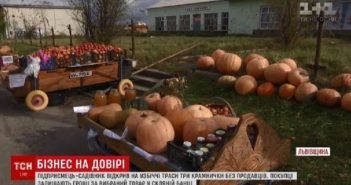 Бізнес на довірі: садівник на Львівщині відкрив придорожні крамниці без продавців