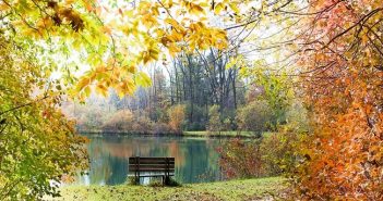 жовтень осінь