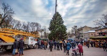У Львові встановили головну ялинку міста