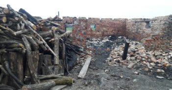 На Львівщині через конфлікт із «чорними» лісорубами багатодітній матері спалили стайню з худобою