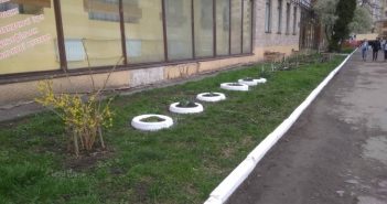 Львів'янам нагадують про заборону білити бордюри та дерева