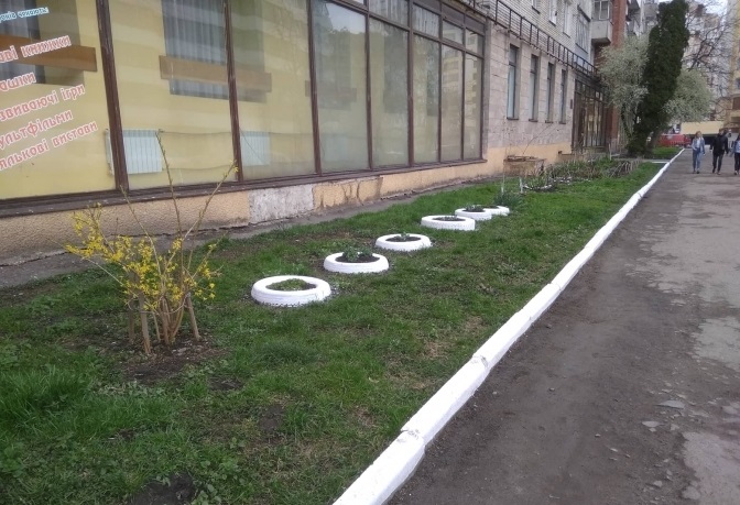 Львів'янам нагадують про заборону білити бордюри та дерева