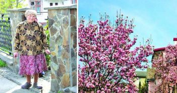 92-річна жінка перетворила звичайну чернівецьку вулицю у квітучу алею